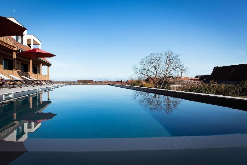 James Vignoble Hotel Eguisheim 2