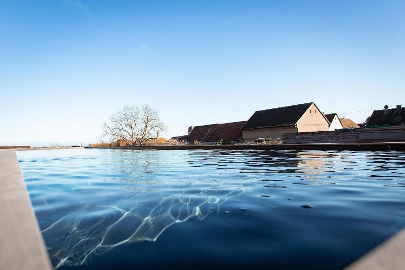 James Vignoble Hotel Eguisheim 3