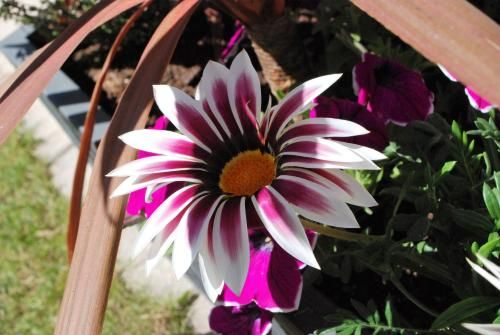 Hôtel Ariane & SPA 3