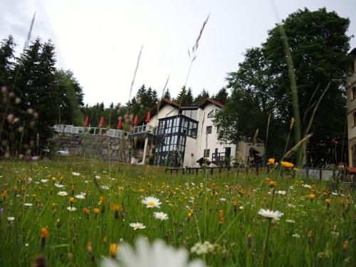 Gastinger Hotel-Restaurant 1