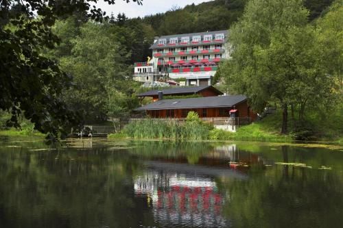Waldhaus am See inklusive MeineCardPlus 3 estrelas em Willingen