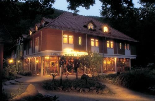 Kurpark Flair Hotel Im Ilsetal 2