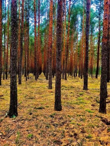 Spree - Waldhotel Cottbus 3