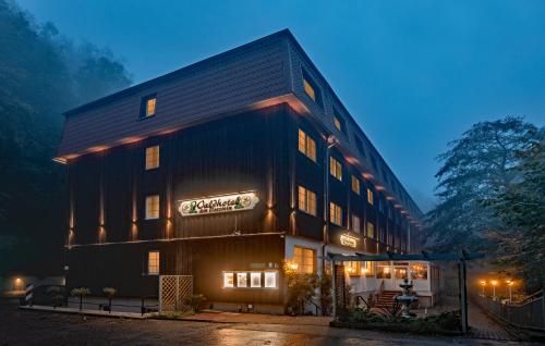 Waldhotel Harz Ilsenburg 1