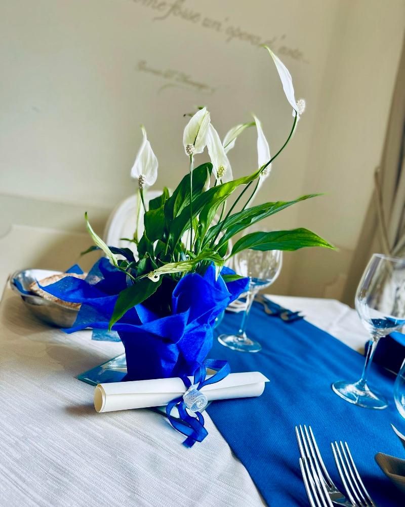 La Pigna 3 estrellas en Marina di Pietrasanta