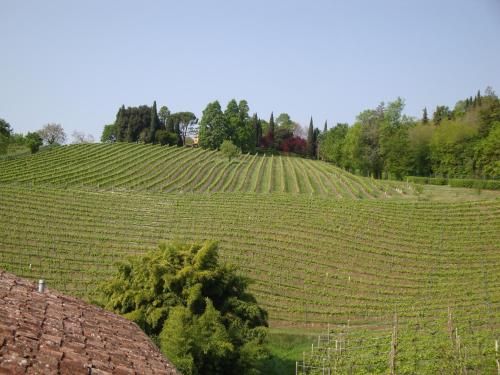 Sporting Hotel Ragno D'oro 2