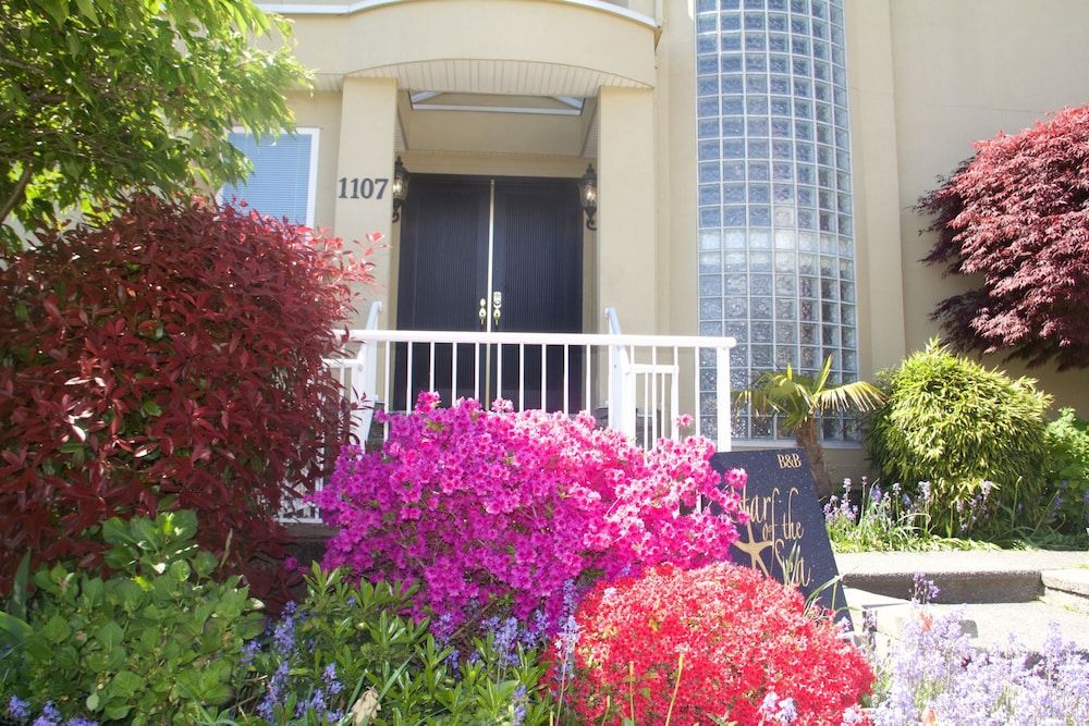 Star of the Sea Guest House 3 estrelas em White Rock