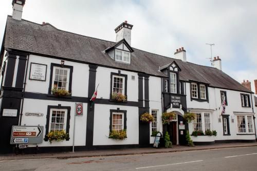 Three Salmons Hotel 3 estrelas em Usk