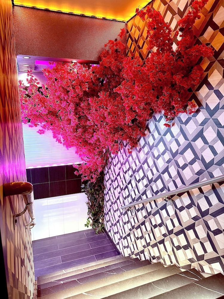 Umbrella Hotel 2