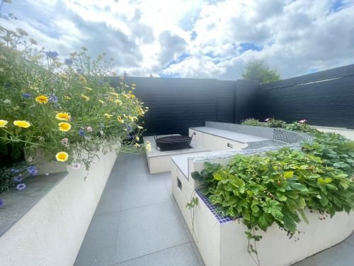 Farne Island rooms 2