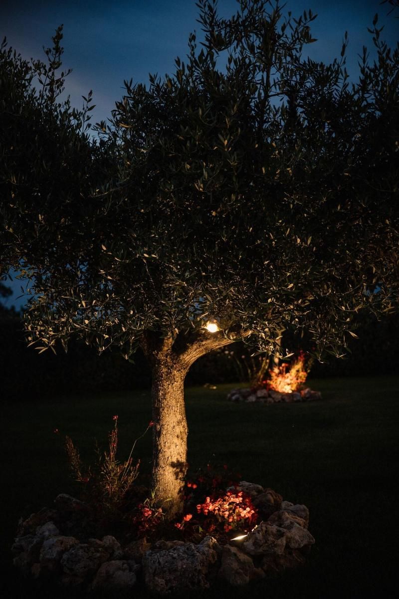 Villa Mascitti B&B 3 estrelas em Tortoreto Lido