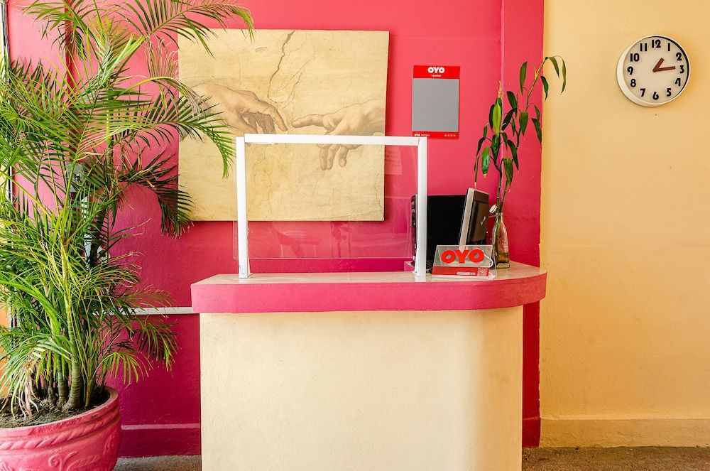 OYO Hotel Cabo Del Sur, Cabo San Lucas 2