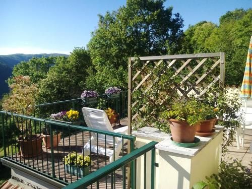 B&B Il Suono del Bosco 2