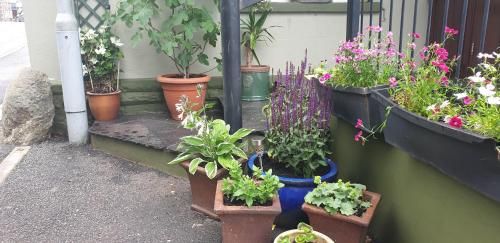 Usk And Railway Inn 2