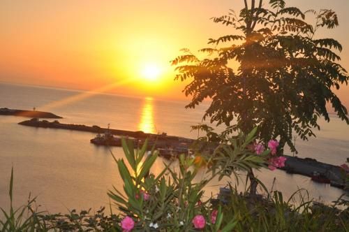 Panaroma Damla Otel 3