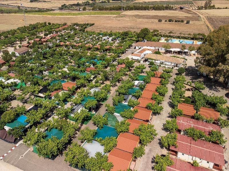 Camping Carlos III 3