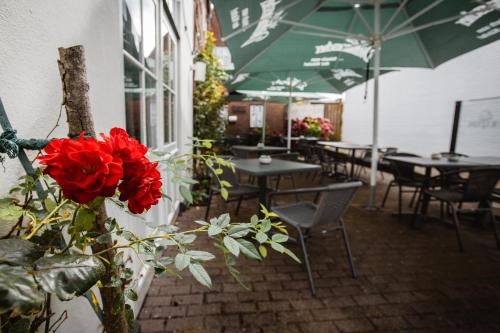 Hotel Zur Linde 2