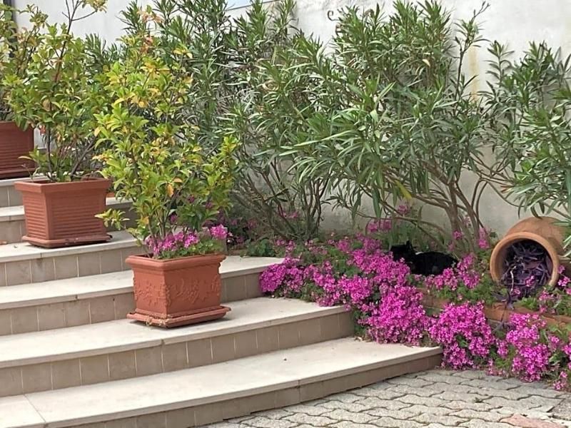 Albergo Pensione Bianco 1