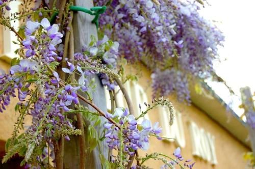 Hôtel Restaurant Le Mur du Roy 2