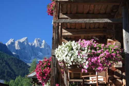 Hotel Orsa Maggiore 3