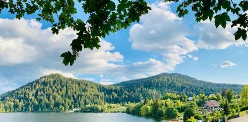 Le Chalet au bord du lac 2