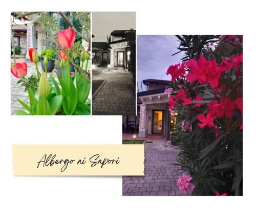 Albergo ai Sapori 1