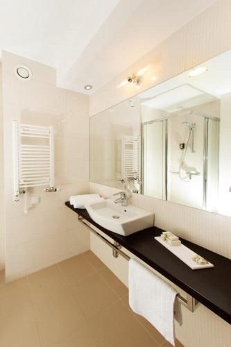 Z-Hotel Business & Spa 2