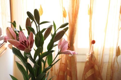 Residence Al Bacareto 2