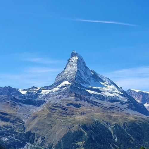 Hotel-Restaurant Eyholz 2