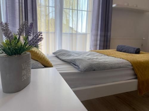 Hostel Przed Świtem 2