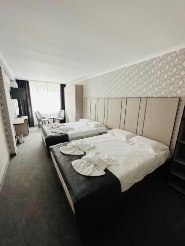 Hotel Cosmos 2