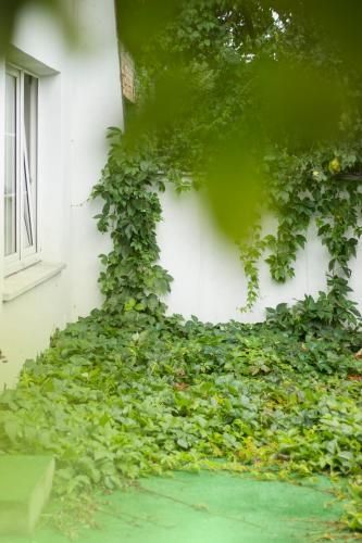 Magic Garden Hostel 2