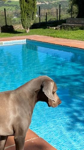 Casa Rural El Vihuelo 2