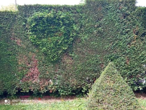 Hotel Rural El Pagadín 3