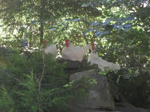 Hotel Rural Los Frutales 2