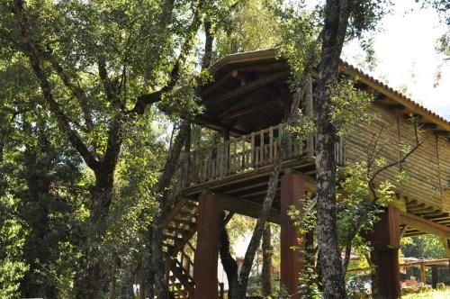 Los Nidos De Santa Maria 3