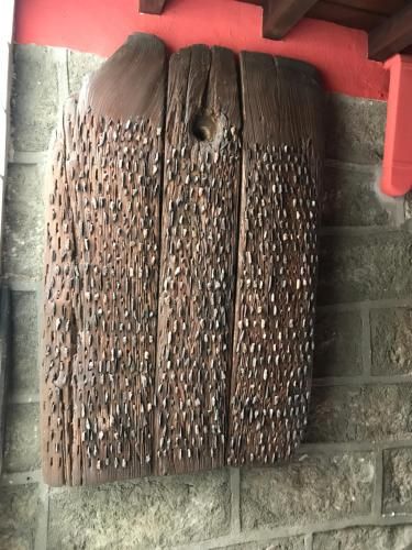 Hotel Rural El Alberche 1