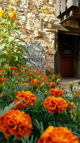 Veniata 3