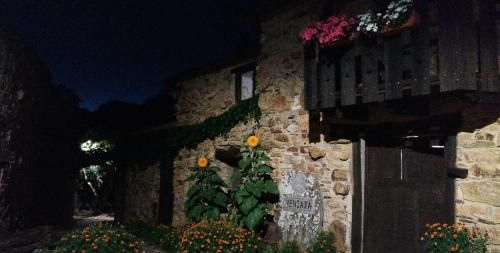 Veniata 2