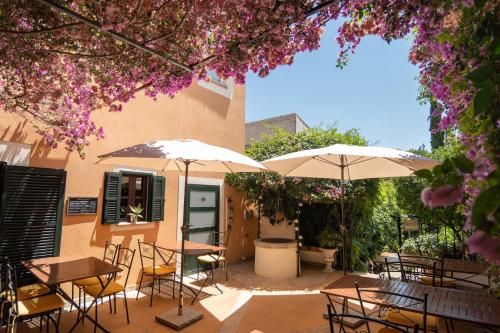 El Nido de Alaro - Turismo de Interior 3