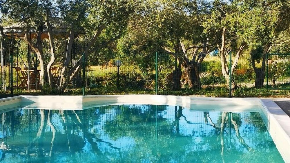 la corte degli ulivi 1