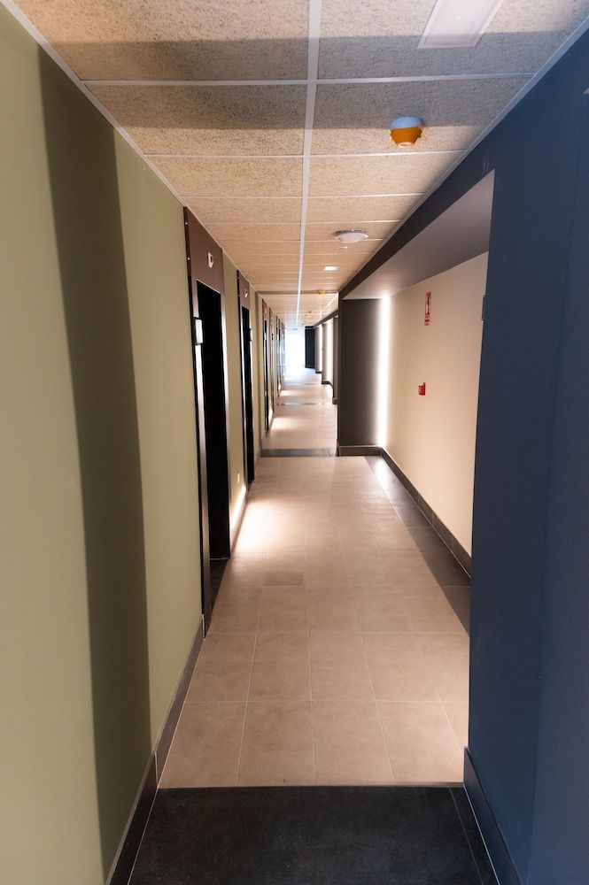 ESTRELA DO CAMIÑO 2