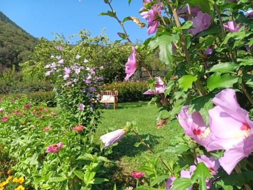 Apartamentos Calm & Nature - Adults Only 3