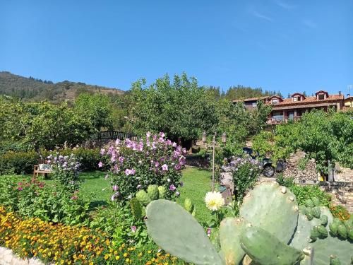 Apartamentos Calm & Nature - Adults Only 2