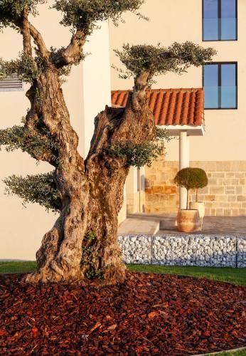 HOTEL RURAL FINCA LA DESA 1