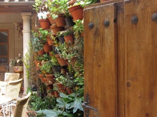 El Portal De Las Arribes 1