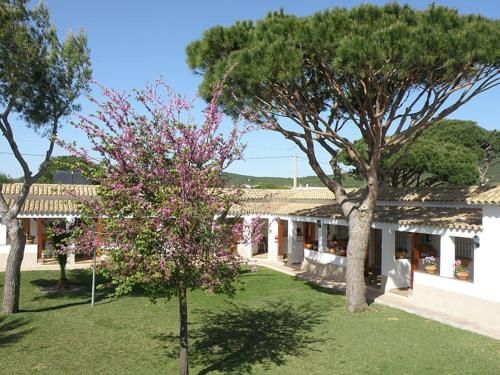 Hostal Las Acacias 3