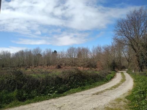 PENSIÓN CASA ANTONIO 3