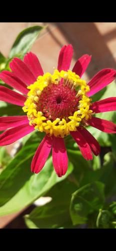 Hostal Restaurante Puerto Blanco 2