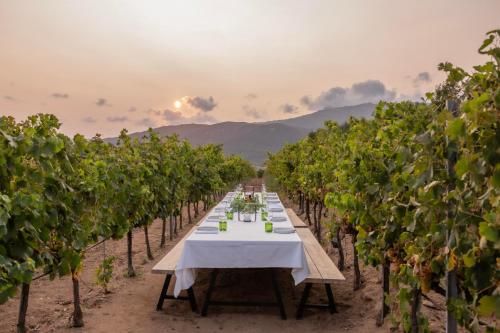 Domaine de Peretti della Rocca 3